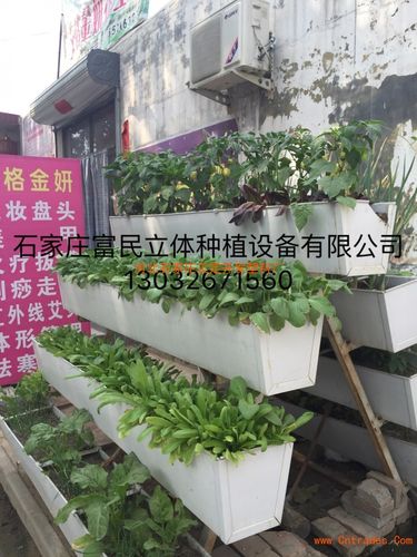 草莓栽培槽,草莓立体种植槽,蔬菜立体种植槽,水果立体种植槽,家庭阳台