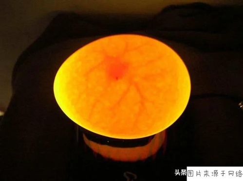 网上购的山鸡蛋能不能孵小鸡,该如何做?