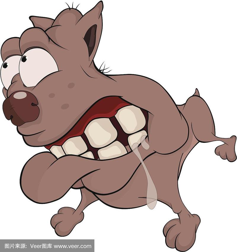 卡通,猎犬,褐色,纯种犬,绘画插图