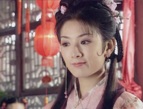 电视剧《上错花轿嫁对郎》中齐府三公子齐天磊是由哪位内地著名男演员