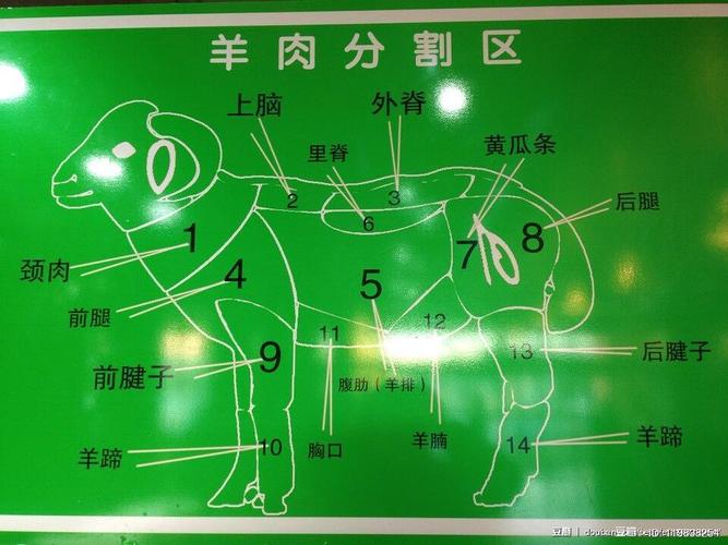 羊肉分割