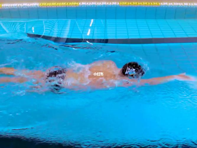 自由泳手入水动作_游泳_自由泳_学游泳_体育运动_游泳