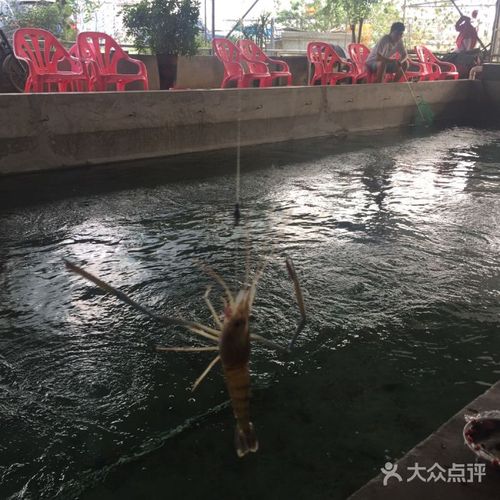 俊豪钓虾馆