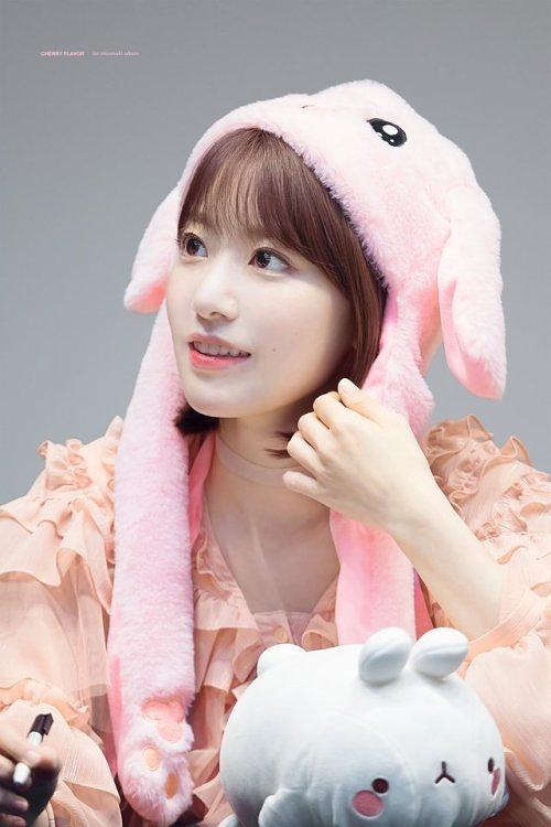 平成最后的夏天来盘点目前在韩发展的日本籍爱豆