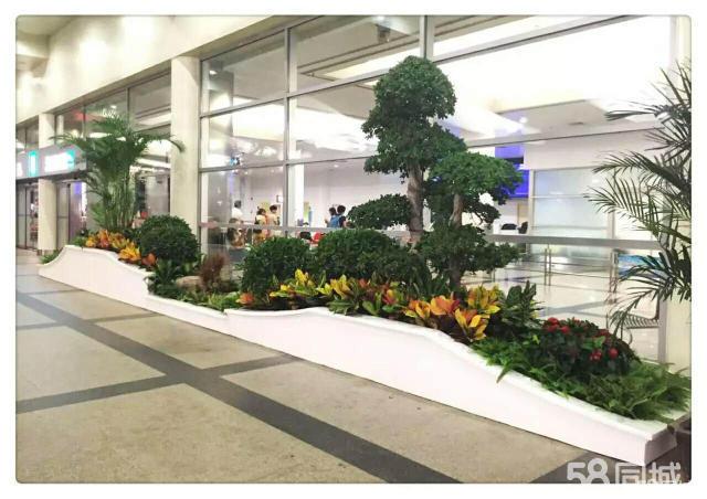 火车站专业绿植租赁,花卉租赁,办公室工厂庭院绿化等.