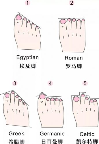 鞋子怎么穿才对5种脚型选鞋秘籍了解下