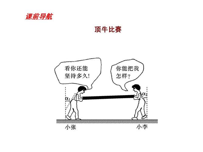 5《牛顿第三定律》课件(新人教版必修1)