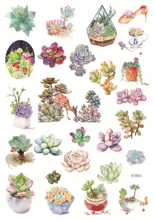 手帐贴纸相册装饰 手绘多肉植物 笔记本日记贴纸 手账