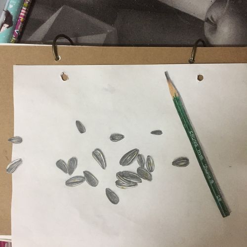 瓜子与铅笔
