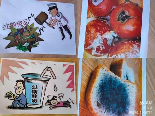 发霉食品,过期食品还有垃圾食品我们可不能吃哦!