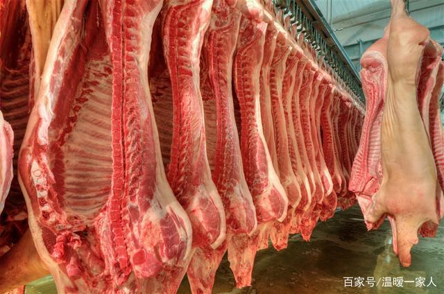 冷库里挂着成扇的新鲜猪肉,准备投放到市场