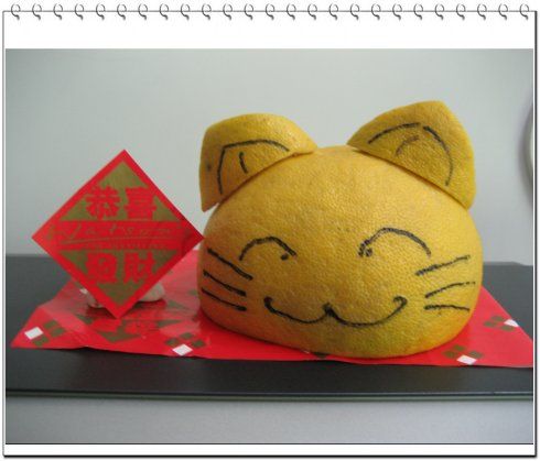 妈妈又帮我做了顶帽子哦,可是还是柚子皮的,呜呜