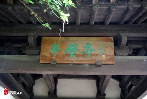 游绍兴园林沈园(3)