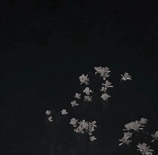 暗黑凄凉伤感唯美背景图 宋原