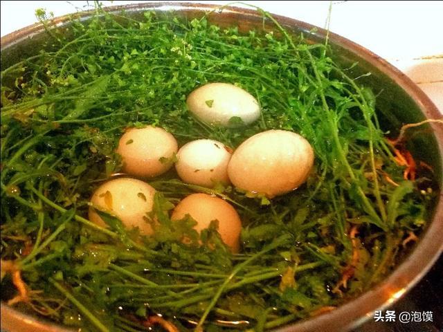 三月三,地菜煮鸡蛋;你安好,我无恙,便是幸福!