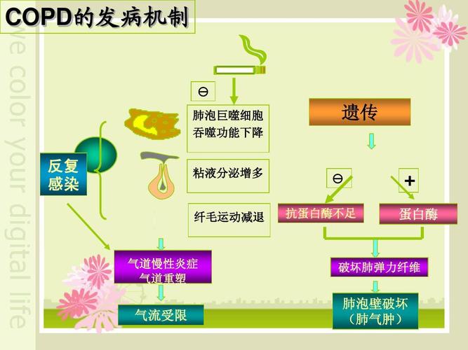 第二节 护理慢性阻塞性肺疾病病人ppt