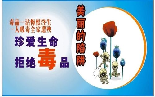 【安全】薛家湾第十小学禁毒教育宣传