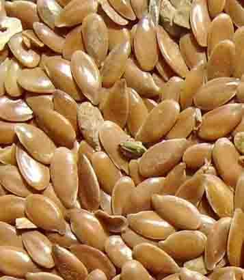 哈密瓜子,大量收购报废哈密瓜籽,甜瓜籽,新疆哈密瓜籽出售,收哈密瓜籽