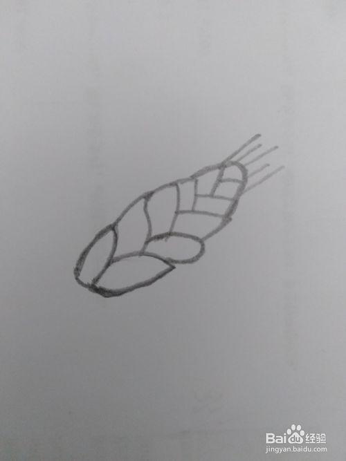 简笔画不一样的麦穗