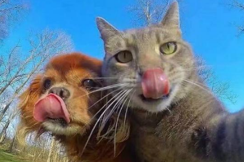 快手个性签名搞笑涨粉的什么都是假的只有穷是真的