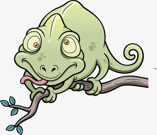 趴在树枝上的蜥蜴