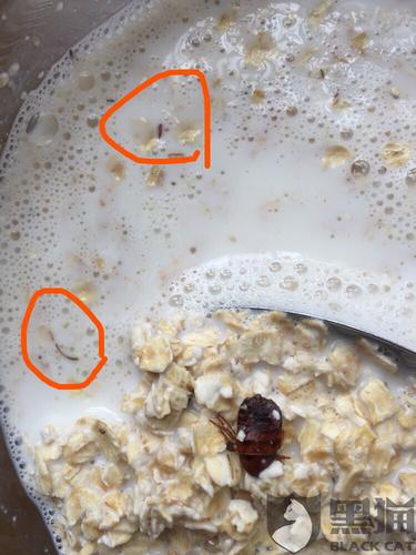 黑猫投诉:食品质量问题,麦片里有虫