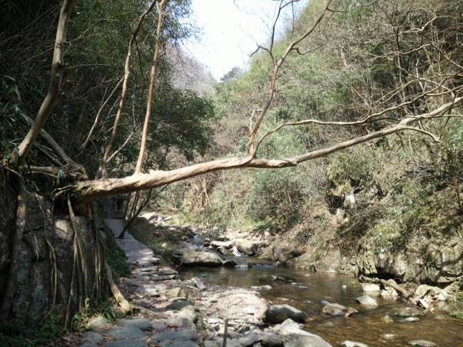 溪行芷江三道坑(一)