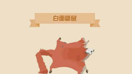 复齿鼯鼠_秒懂百科