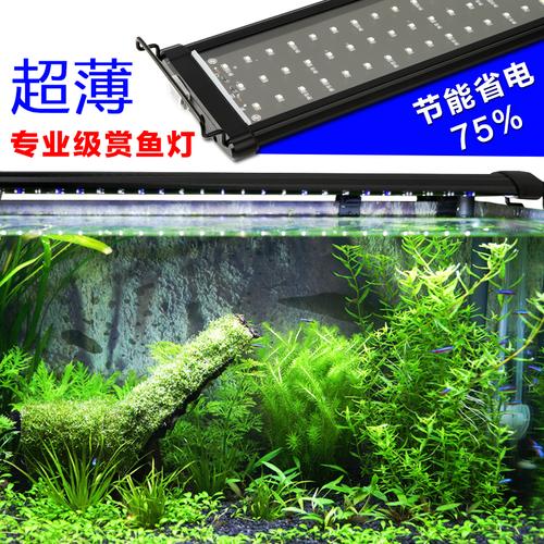 鱼缸灯水族箱led经济照明灯水草缸灯 海水缸 淡水缸鱼缸led灯具灯架