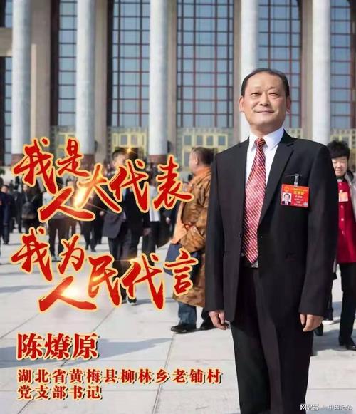 全国人大代表陈燎原为黄梅发声:一体化创建长江经济带绿色发展区