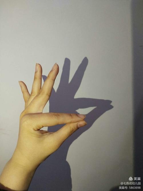 其它 有趣的手影 写美篇小孔雀