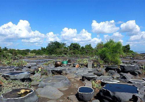 如此管理,千年古盐田还能存在多久?