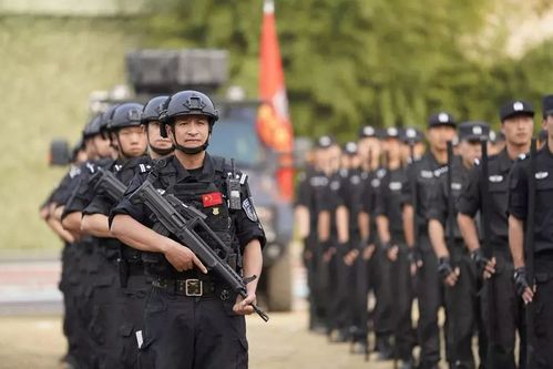 今天下午,这场实战演练堪比大片,燃爆全场!