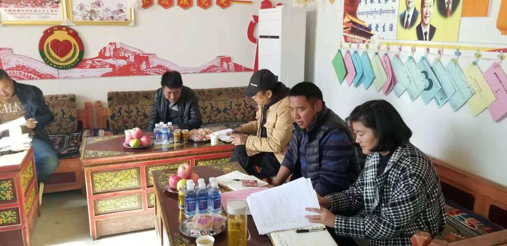 申扎县赤列旺杰副县长一行人检查指导西勘集团驻雄梅镇达果二村脱贫