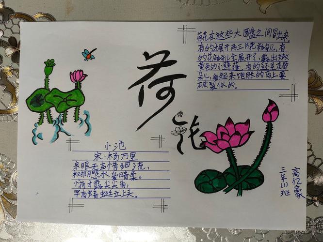 咏露珠唐·韦应物  秋荷一滴露,  清夜坠玄天.