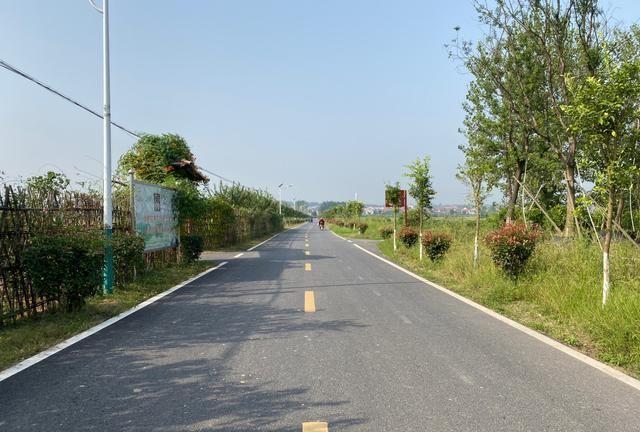 澧县澧南镇:同心共修幸福路 乡村旧貌换新颜