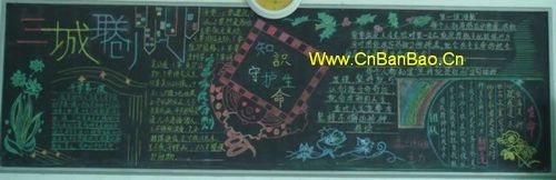 知识守护生命黑板报