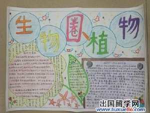 基因工程技术手抄报 手抄报简单又漂亮