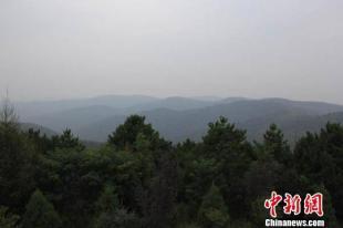 甘肃扶贫现多位"林老板" 黄土高原再造子午岭(图)
