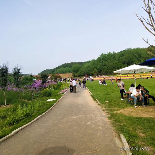 湖北枝江安福寺东方年华花海游玩