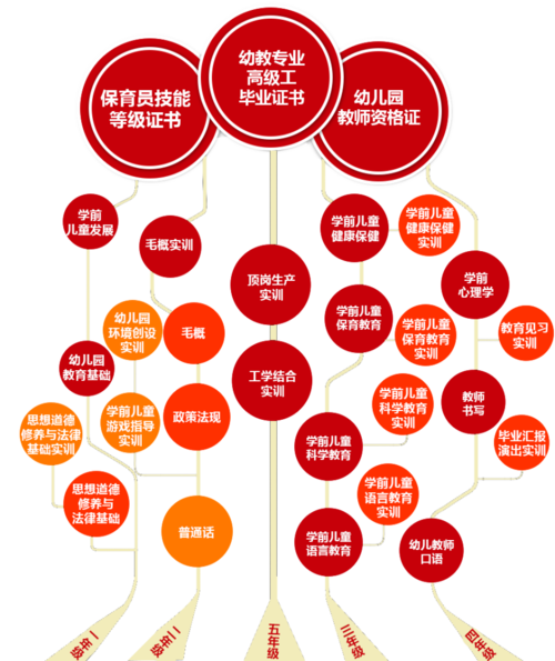 旅游服务与管理专业技能树