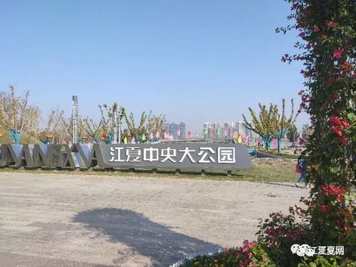 好消息!江夏中央大公园全部开放啦