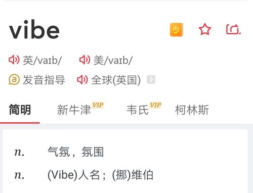 vibe是翻译成中文是什么意思啊?