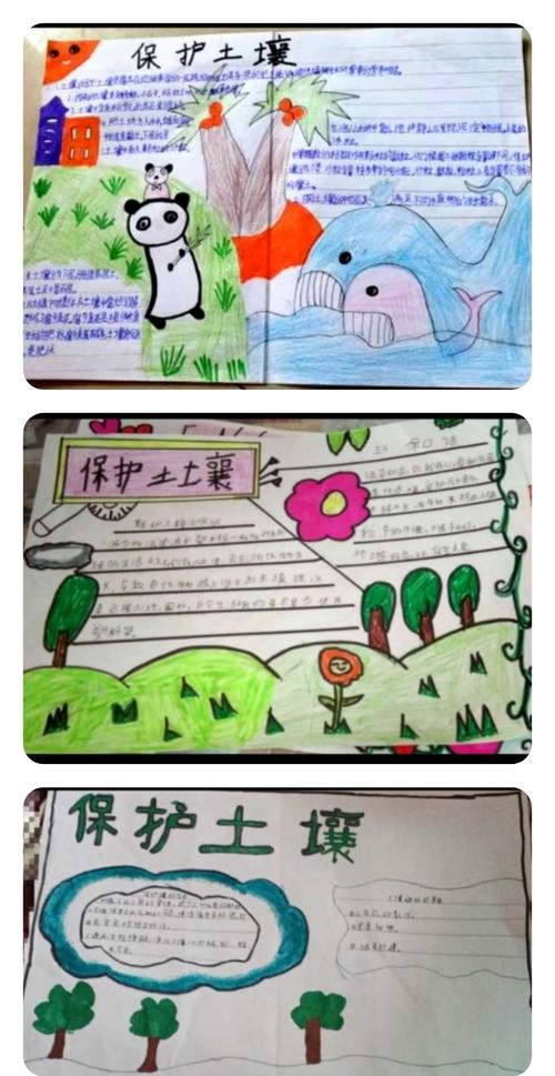 看同学们用一份份精美的手抄报,将学到的"关于土壤"的知识