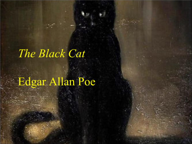 theblackcat黑猫.ppt