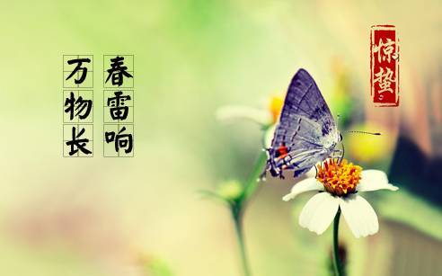 今日惊蛰那些蛰伏的惊喜终将破土而出