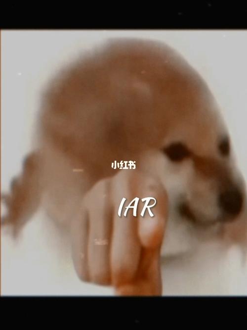 指    谁   谁    单    身_沙雕_压迫感_兴趣爱好