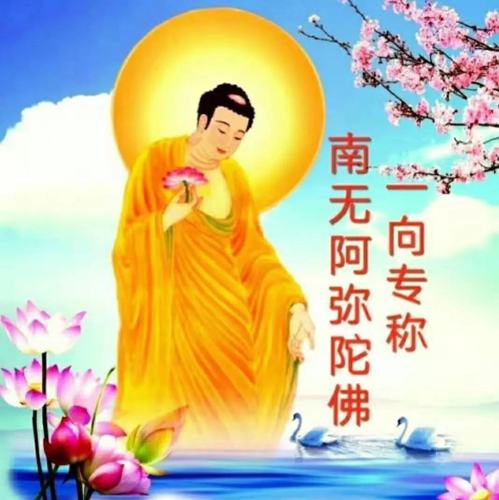 精美佛教图片,用来做微信头像功德无量!南无阿弥陀佛