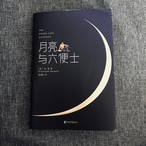 不赞赏也无感…(月亮与六便士)书评