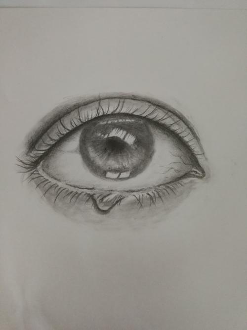 有温度的黑白灰_学素描